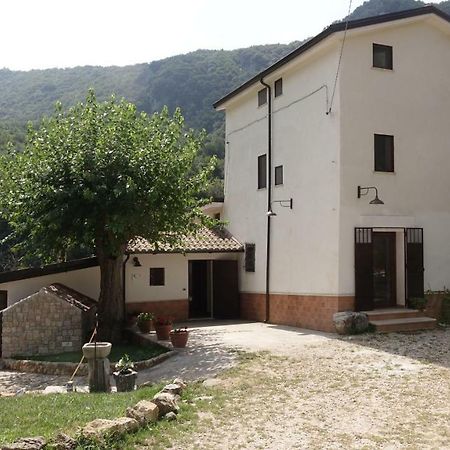 Azienda Agrituristica Terraria Hotell Campagna Exteriör bild